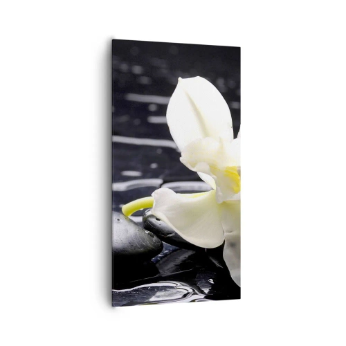 Canvas picture - Study in Black and White - 65x120 cm