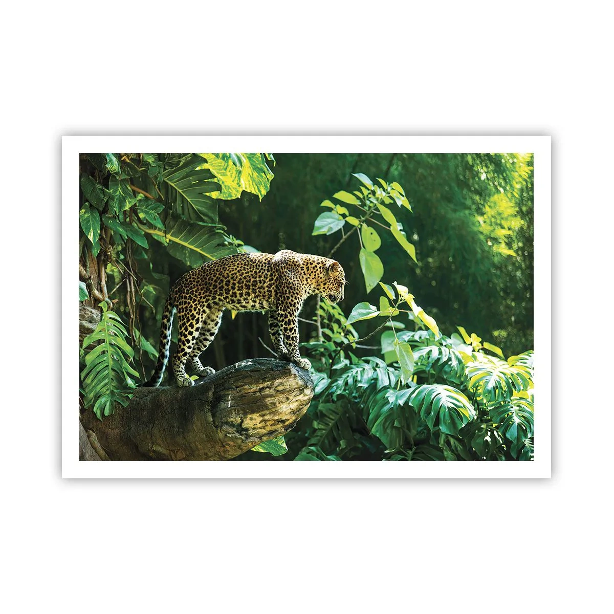 Poster - Going Hunting? - 100x70 cm