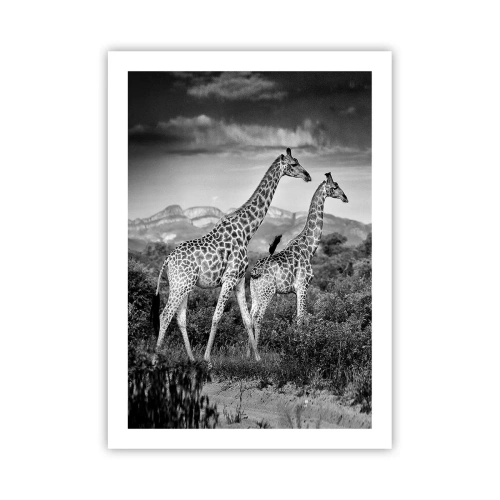 Poster - Higher Spheres in Africa - 50x70 cm