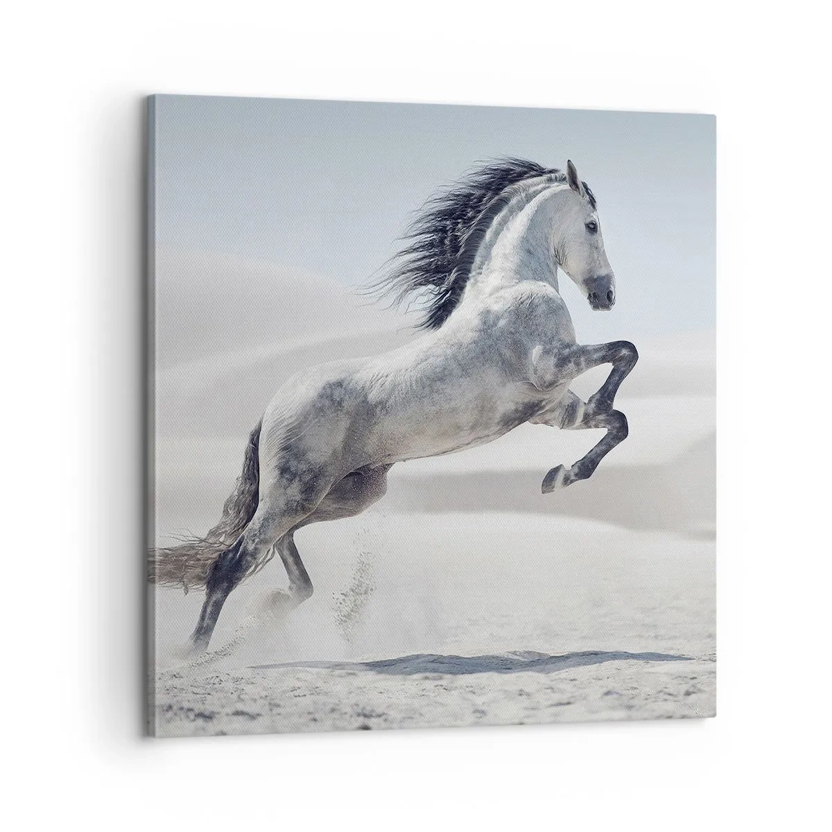 Canvas picture - Arabic Prince - 60x60 cm