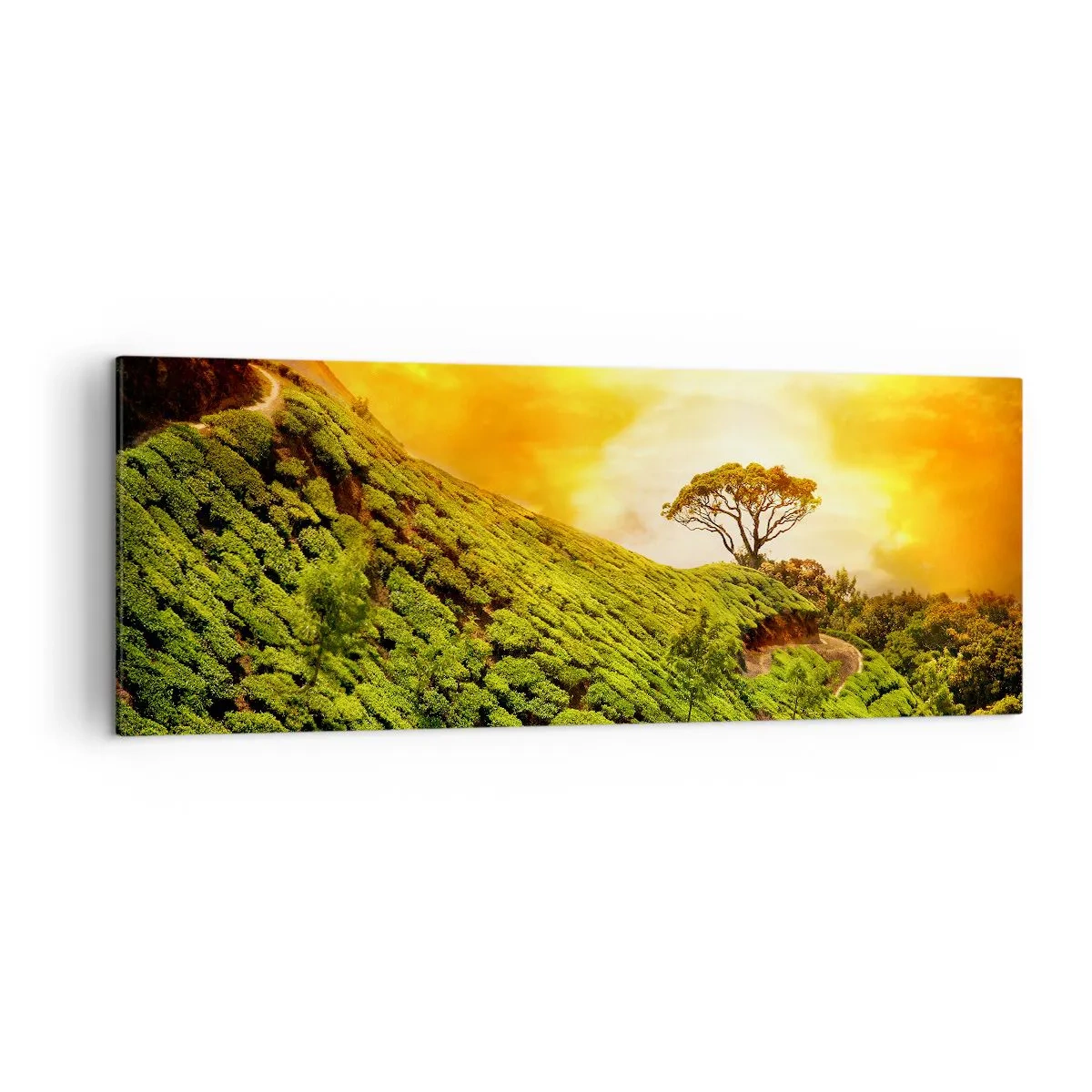 Canvas picture - Winding Path, Green Slope - 140x50 cm