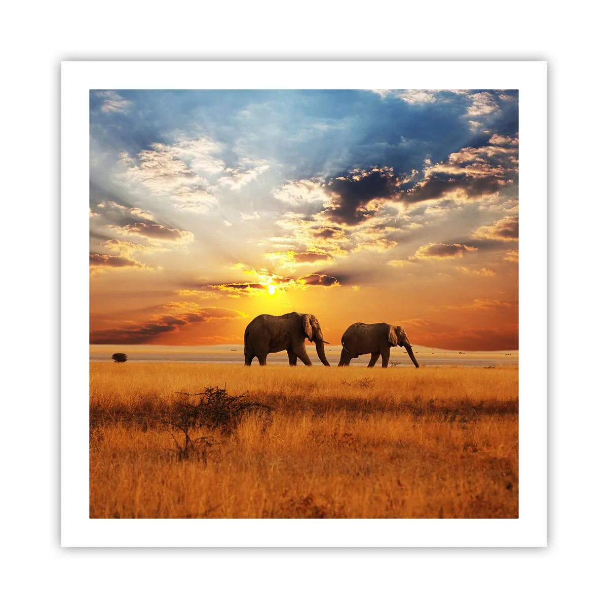 Poster - Family Walk - 60x60 cm