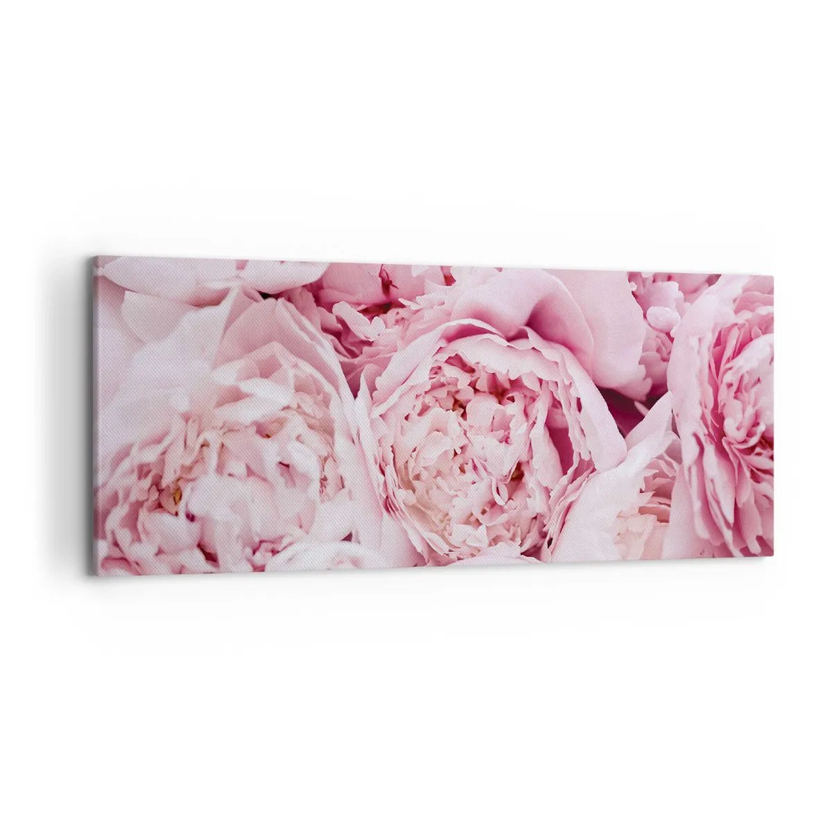 Canvas picture - Cuddly and Fragrant - 120x50 cm