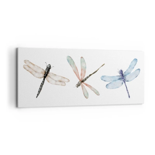Canvas picture - Lightness of Dragonflies  - 120x50 cm