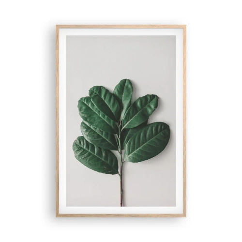Poster in light oak frame - Drawing of Nature Itself - 61x91 cm