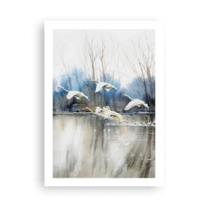 Poster - Like in a Fairy Tale about Wild Swans - 50x70 cm