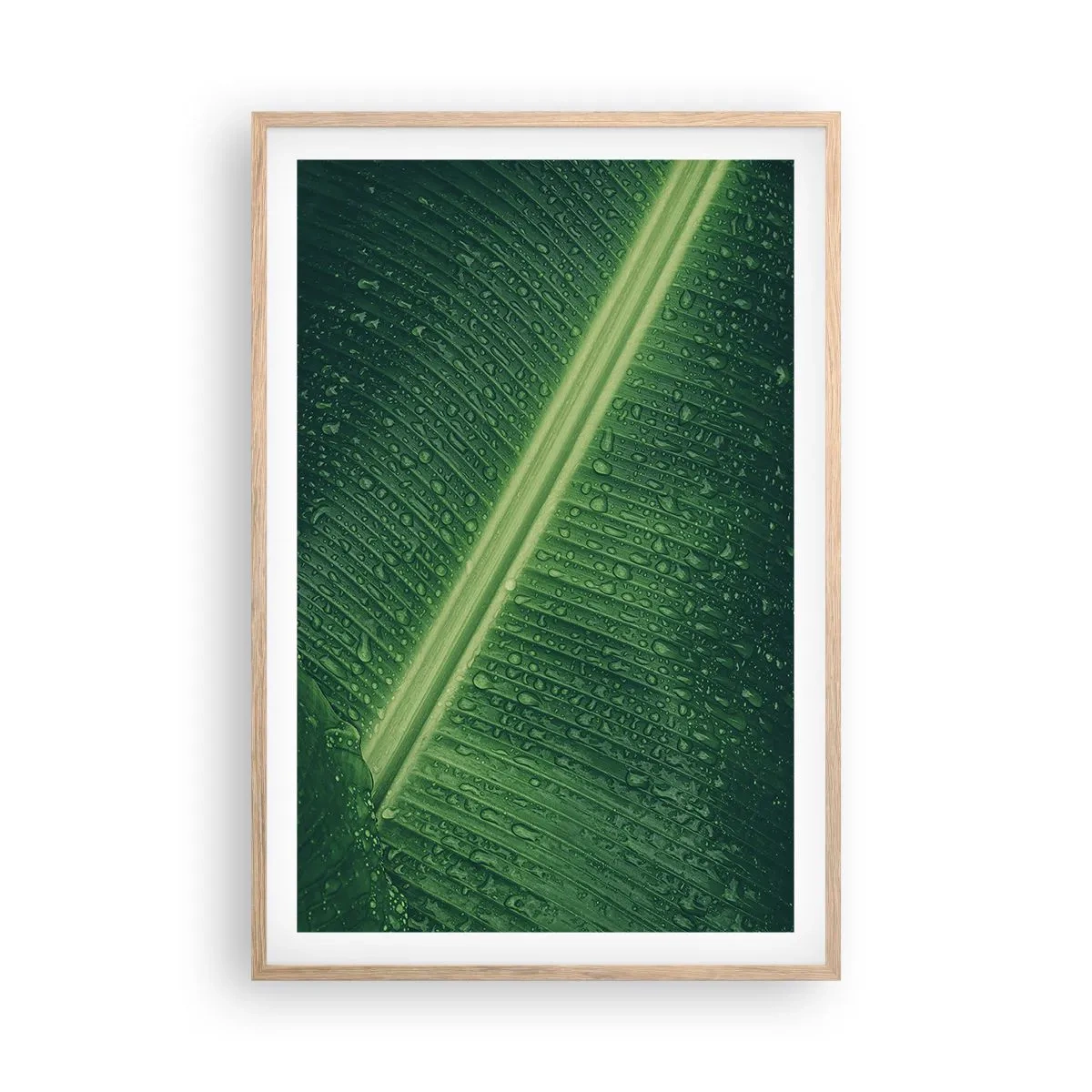 Poster in light oak frame - Structure of Green - 61x91 cm