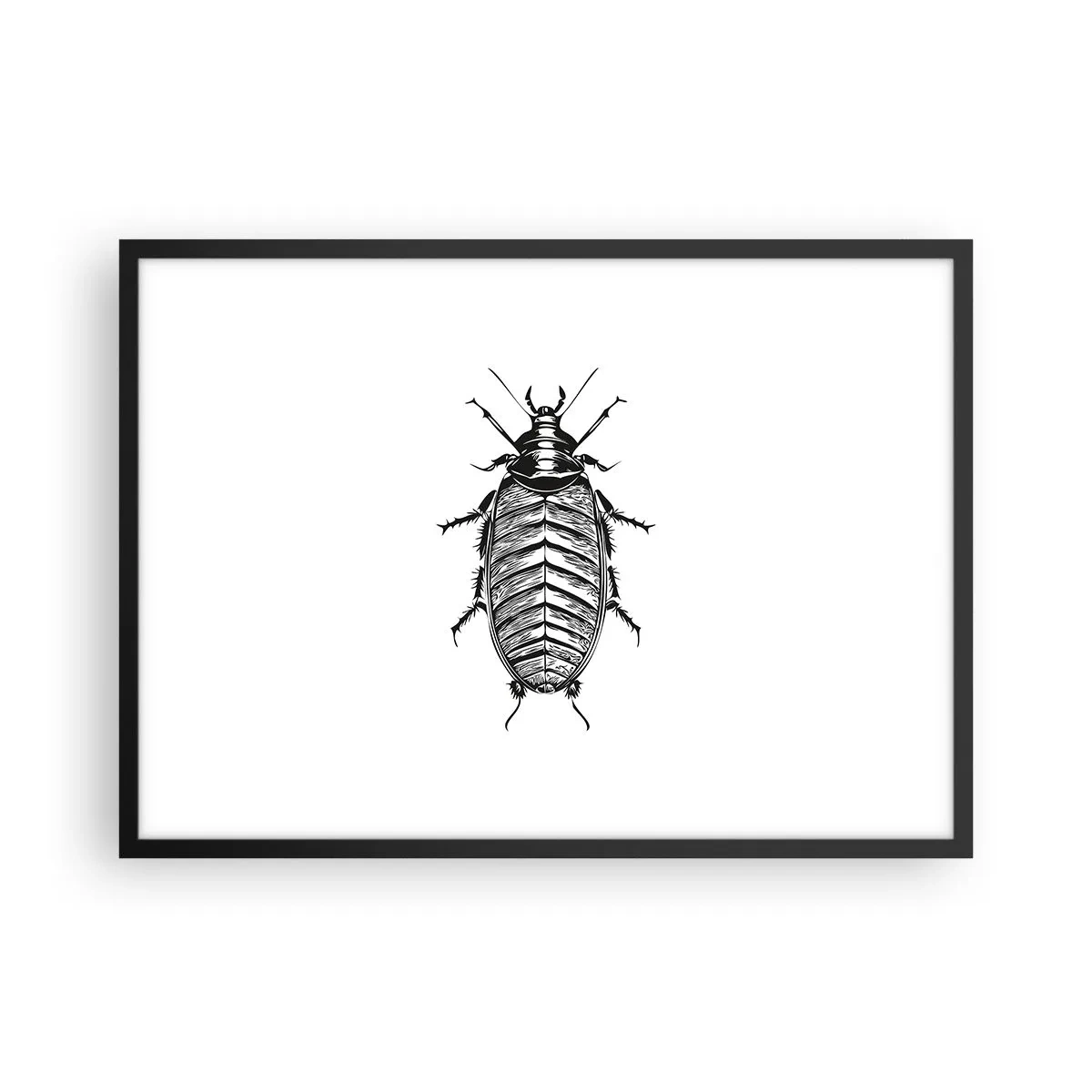 Poster in black frame - What a Specimen - 70x50 cm