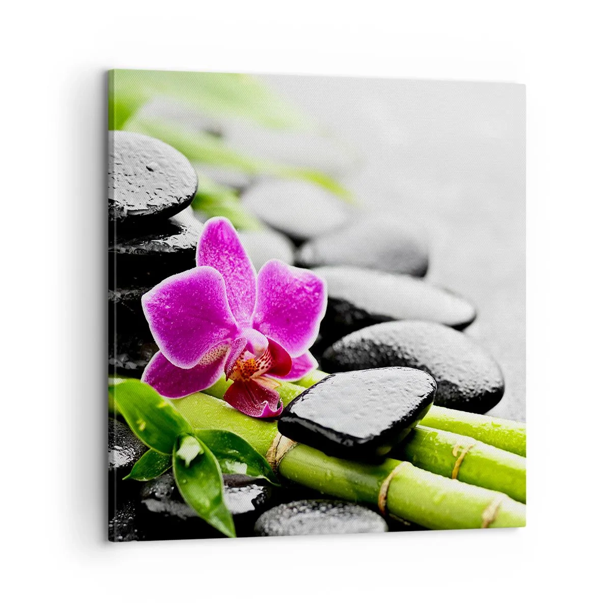 Canvas picture - In a Peaceful Balance - 60x60 cm