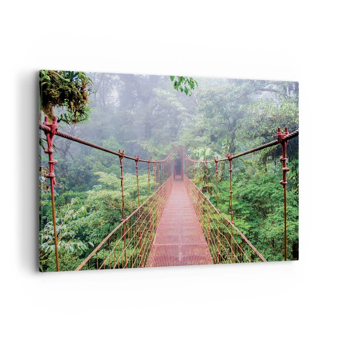 Canvas picture - Suspended above Crowns - 100x70 cm