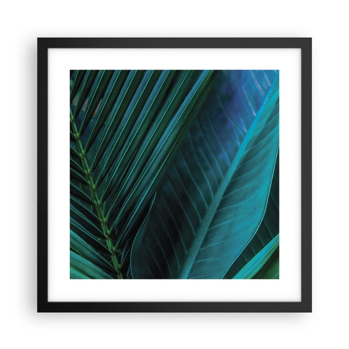 Poster in black frame - Anatomy of Green - 40x40 cm
