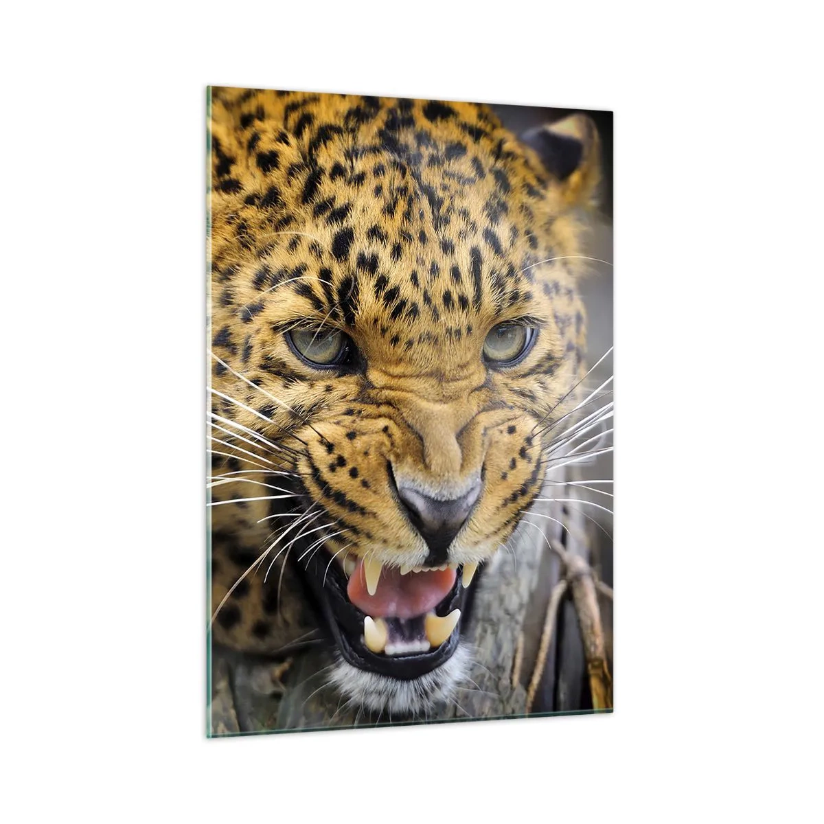 Glass picture - Do Not Come Close, I am Warning You! - 50x70 cm