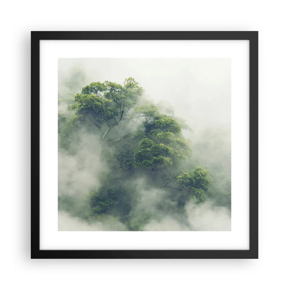 Poster in black frame - Wrapped In Fog - 40x40 cm