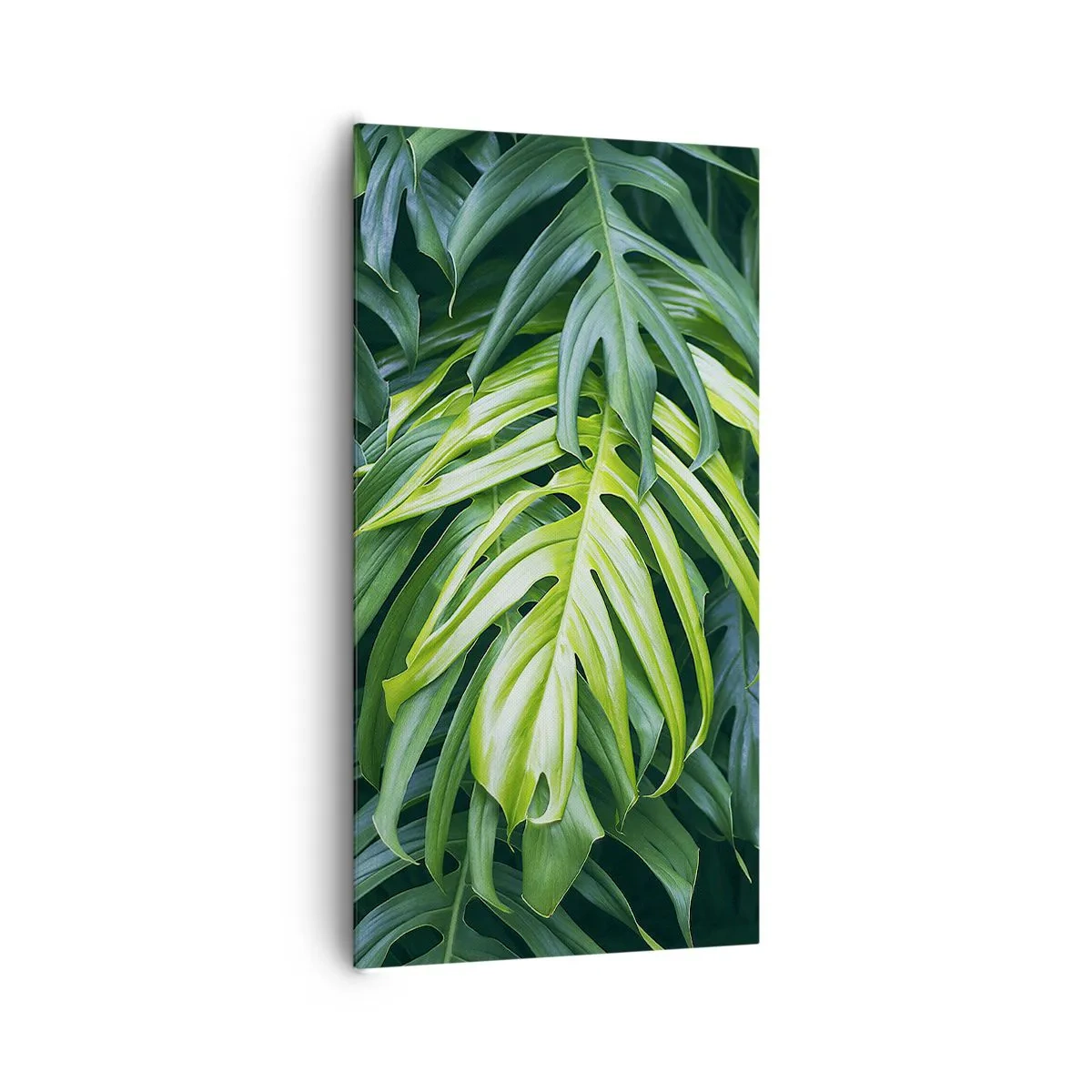 Canvas picture - Immerse Yourself in Freshness - 65x120 cm