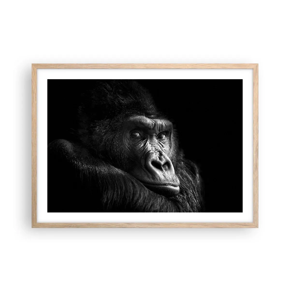 Poster in light oak frame - What Are You Looking At? - 70x50 cm