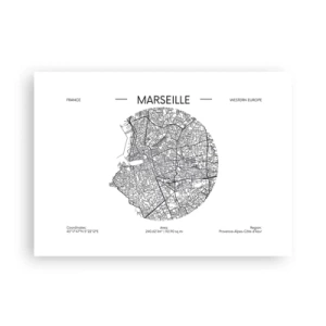 Poster - Anatomy of Marseille - 70x50 cm