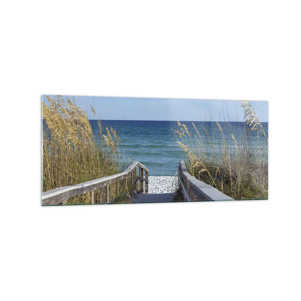 Glass picture - In the Sun, out in the Wind - 120x50 cm