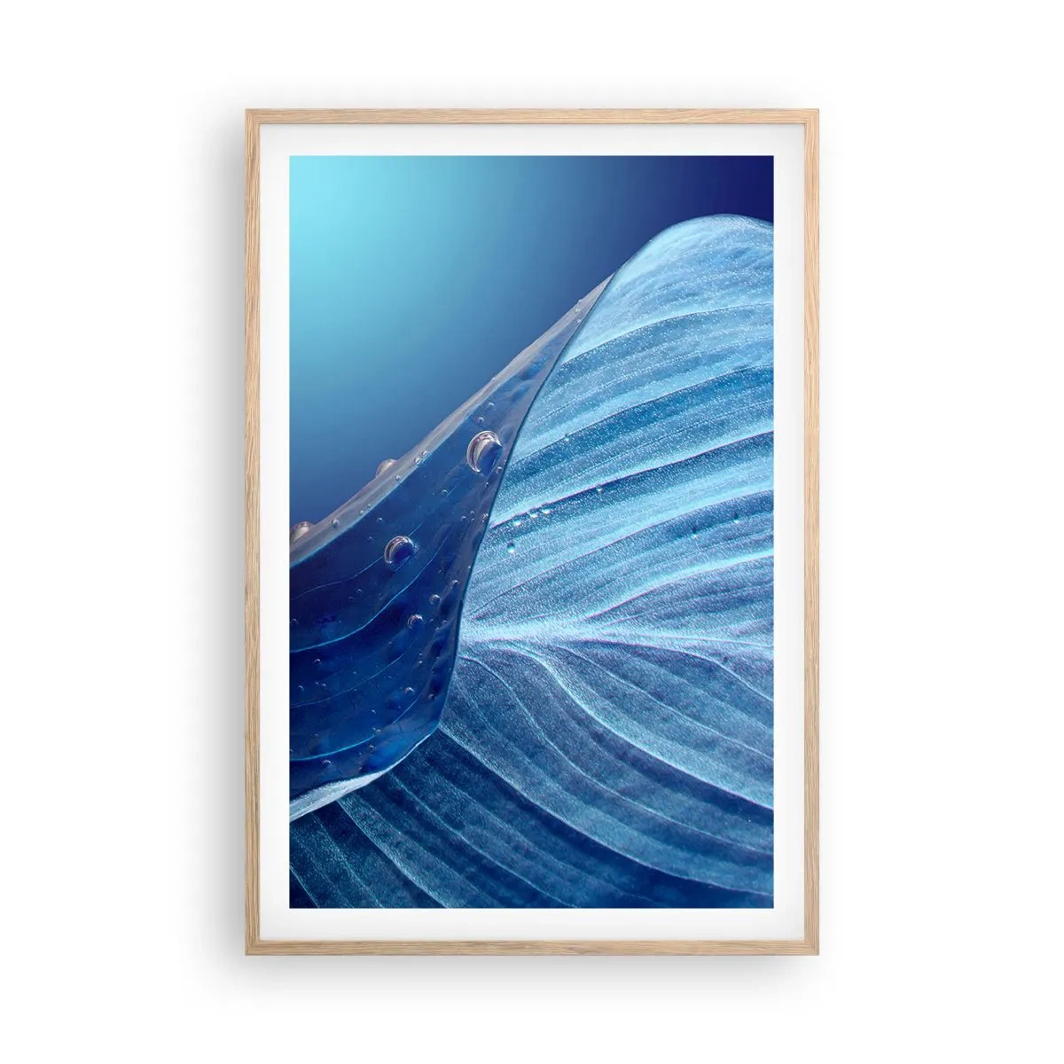 Poster in light oak frame - Hidden Drops of Blue - 61x91 cm