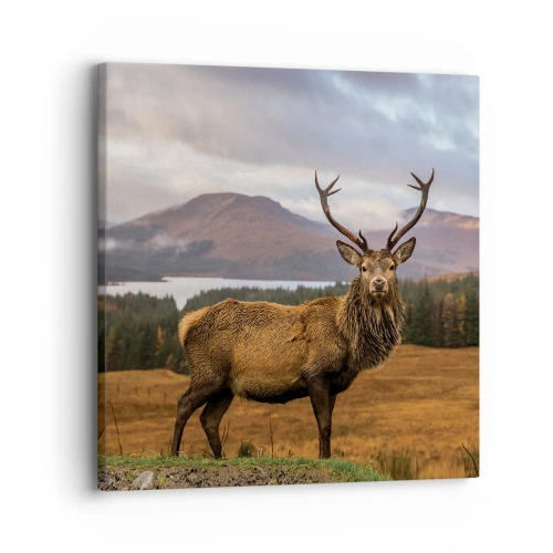 Canvas picture - Majesty of Nature - 30x30 cm