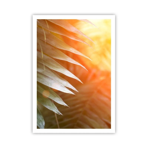 Poster - Morning in the Jungle - 70x100 cm