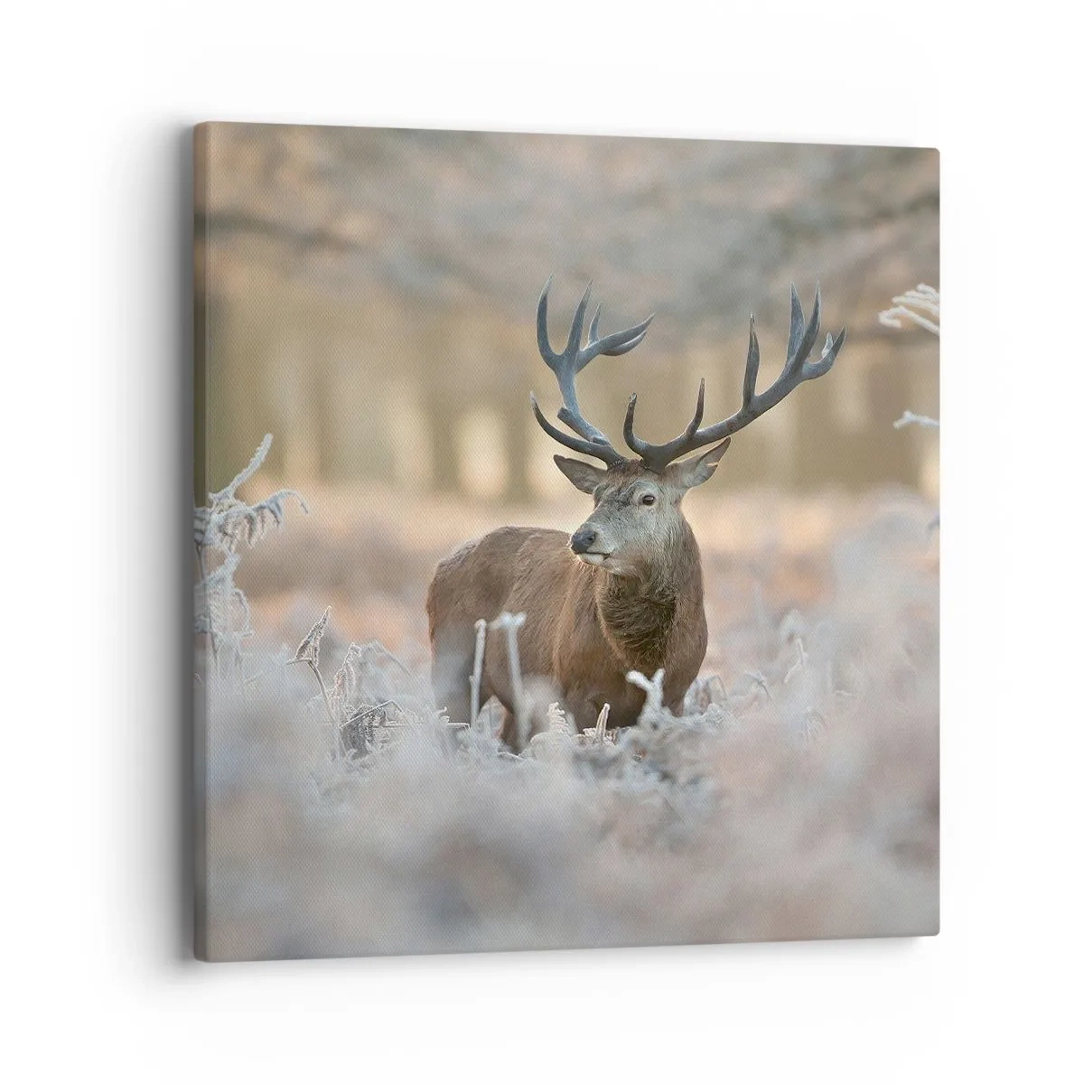 Canvas picture - Chilly Morning - 40x40 cm