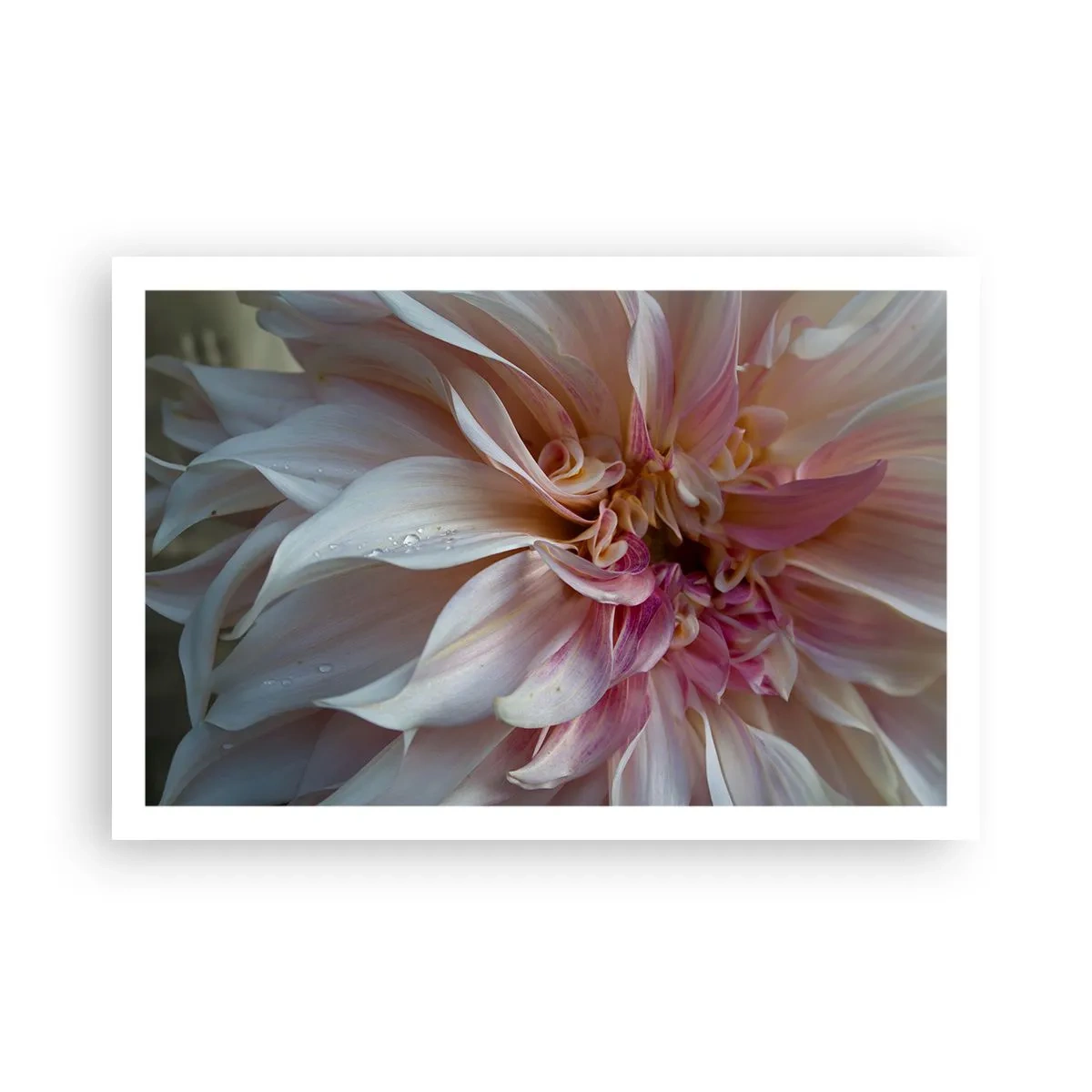 Poster - Blooming Freshness - 91x61 cm