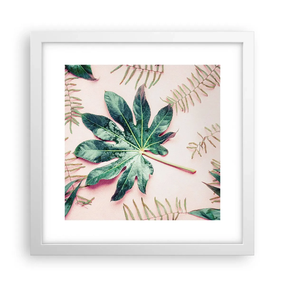 Poster in white frmae - Study in Green on Pink Background - 30x30 cm