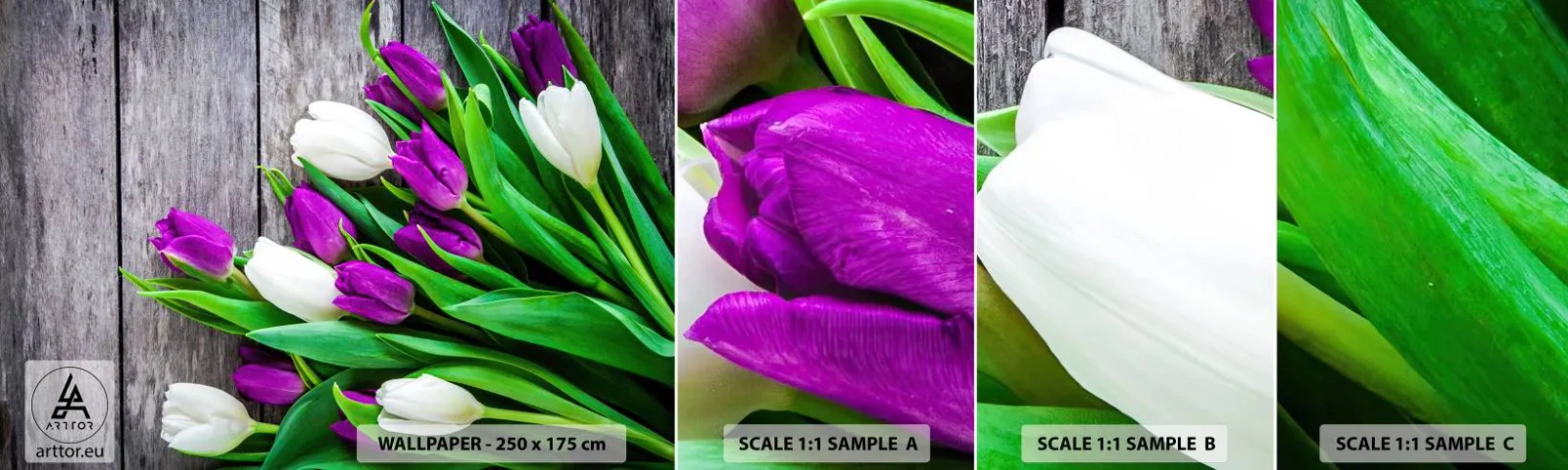 Photo Wallpaper Sample Standard Eco - On a Spring Holiday - Flowers, Tulips, Bouquet of flowers - 100x30 cm