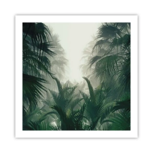 Poster - Tropical Secret - 60x60 cm