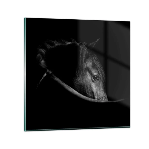 Glass picture - Black Prince - 50x50 cm