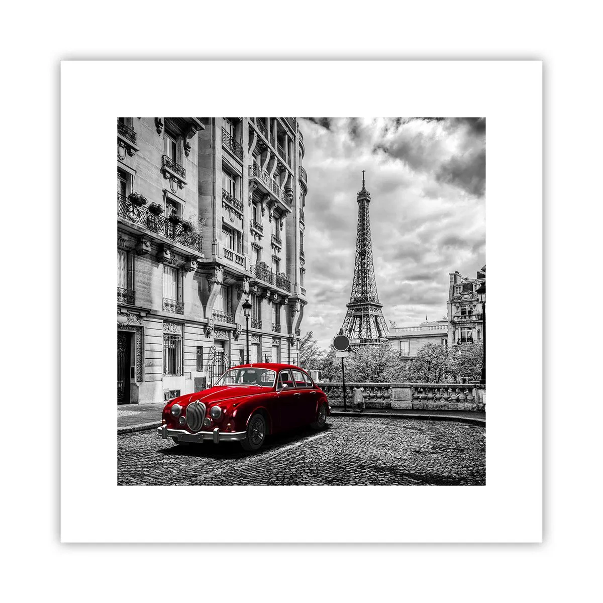 Poster - Predator in the City - 30x30 cm