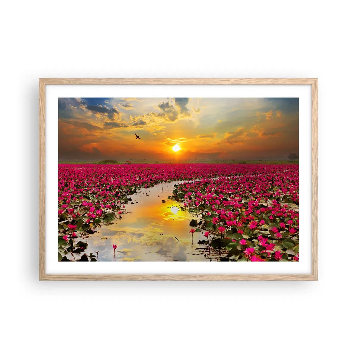 Poster in light oak frame - Secret Life of a Lake - 70x50 cm