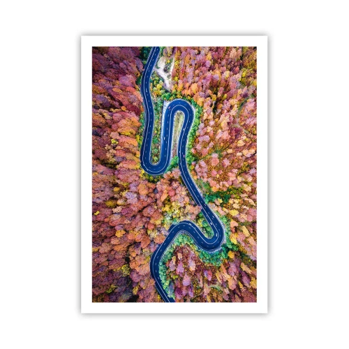 Poster - Winding Path through a Forest - 61x91 cm