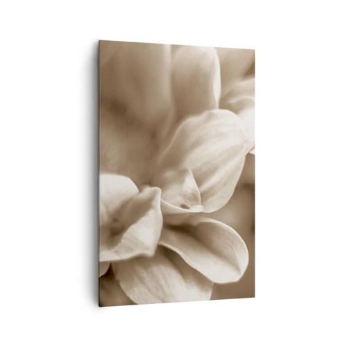 Canvas picture - Soft as a Smile - 80x120 cm