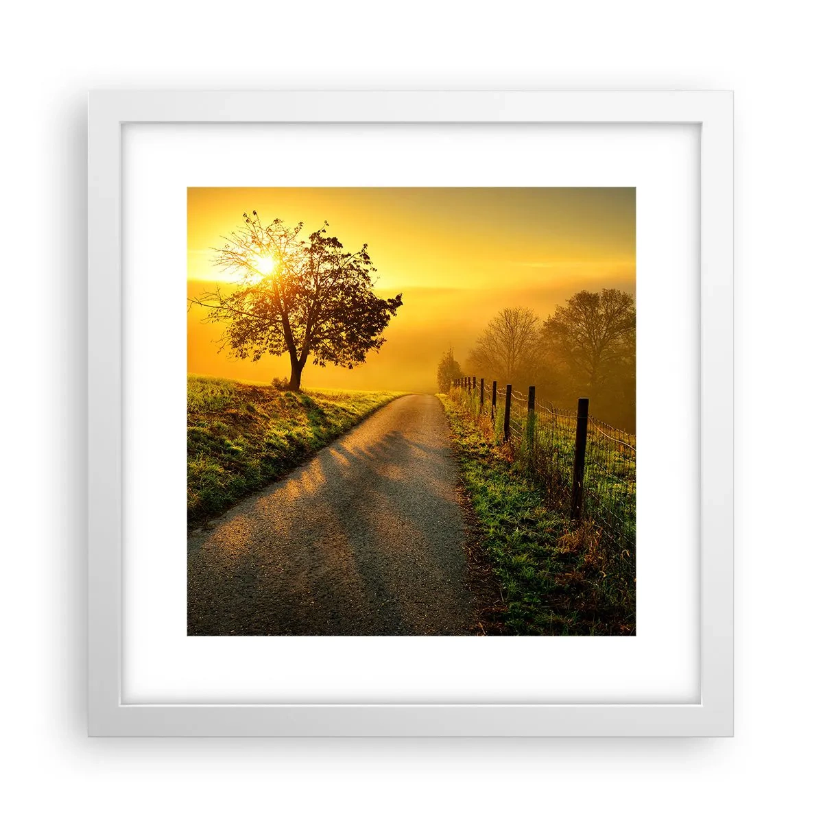 Poster in white frmae - Honey Afternoon - 30x30 cm