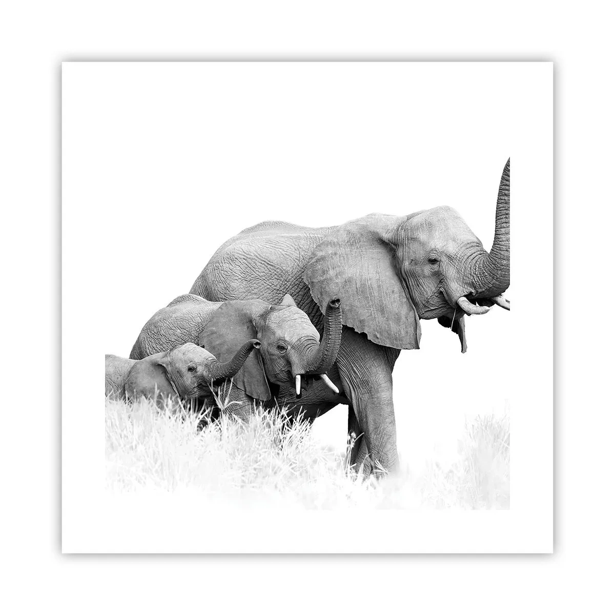 Poster - One, Two, Three - 40x40 cm