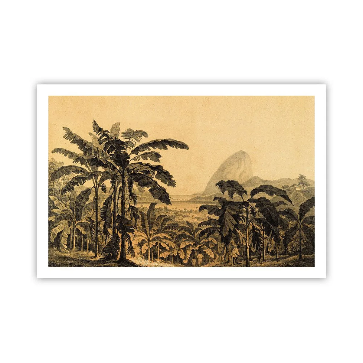 Poster - In Colonial Character - 91x61 cm