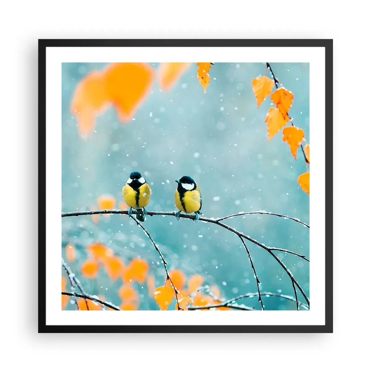 Poster in black frame - Birdy Gossip - 60x60 cm