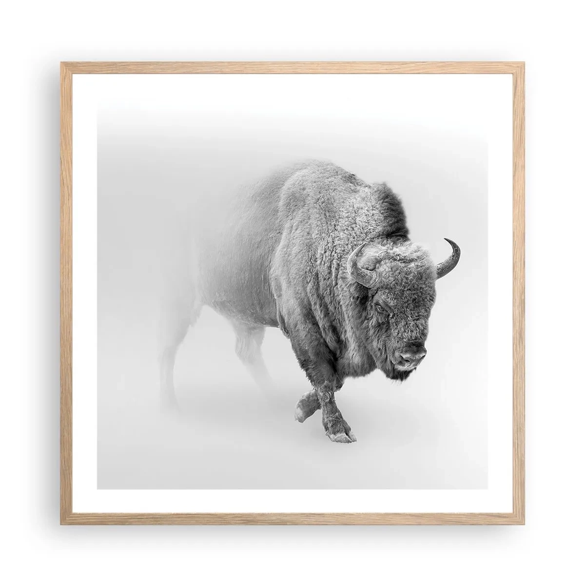 Poster in light oak frame - King of the Prairie - 60x60 cm