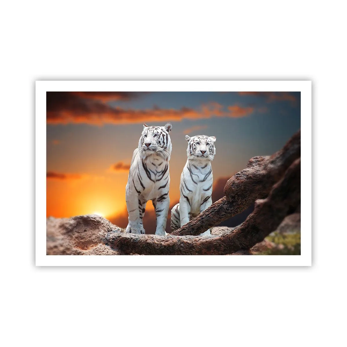 Poster - Just Like in Narnia - 91x61 cm