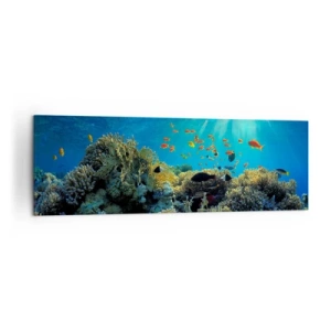Canvas picture - Underwater Treasures - 160x50 cm