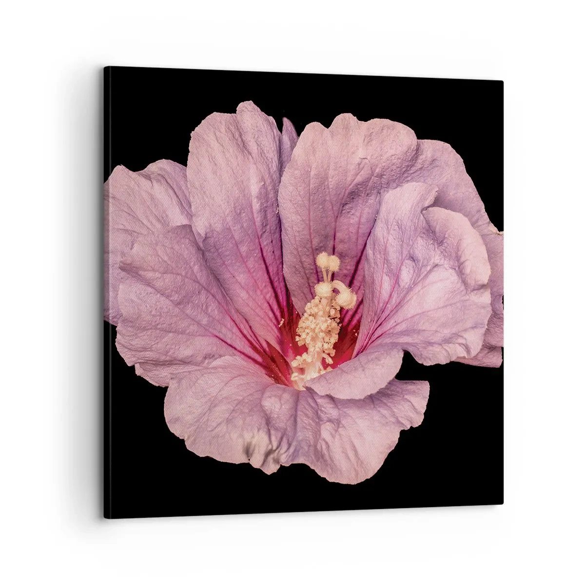 Canvas picture - Straight from the Heart - 60x60 cm