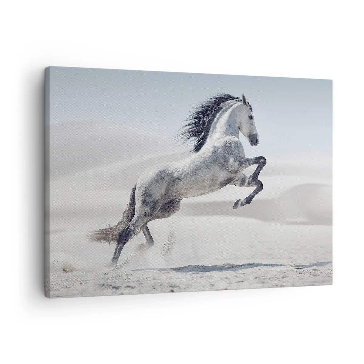 Canvas picture - A white horse galloping against the backdrop of desert dunes - 70x50cm - Arabic Prince - Modern wall decoration for the living room and bedroom ARTTOR