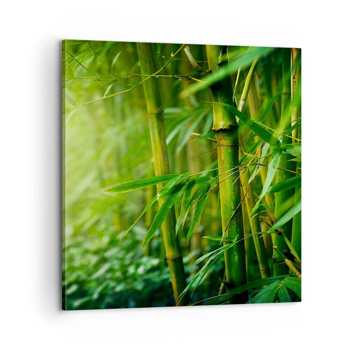 Canvas picture - Getting to Know the Green - 60x60 cm