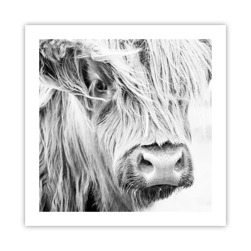 Poster - Scottish Wilderness - 50x50 cm