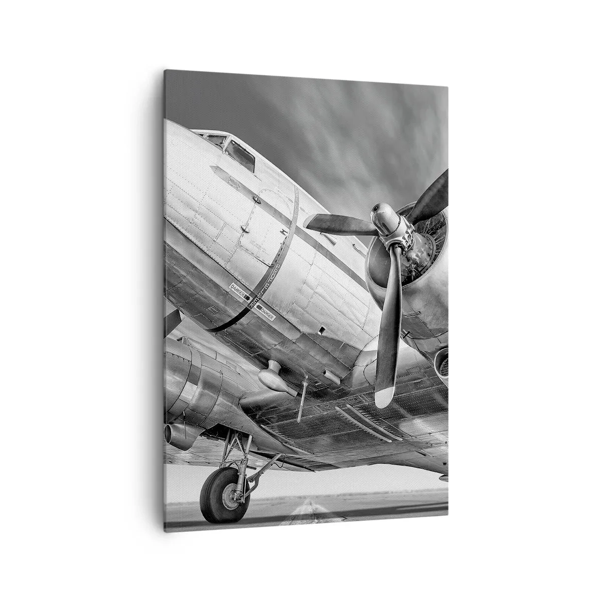 Canvas picture - Always Ready to Fly - 70x100 cm