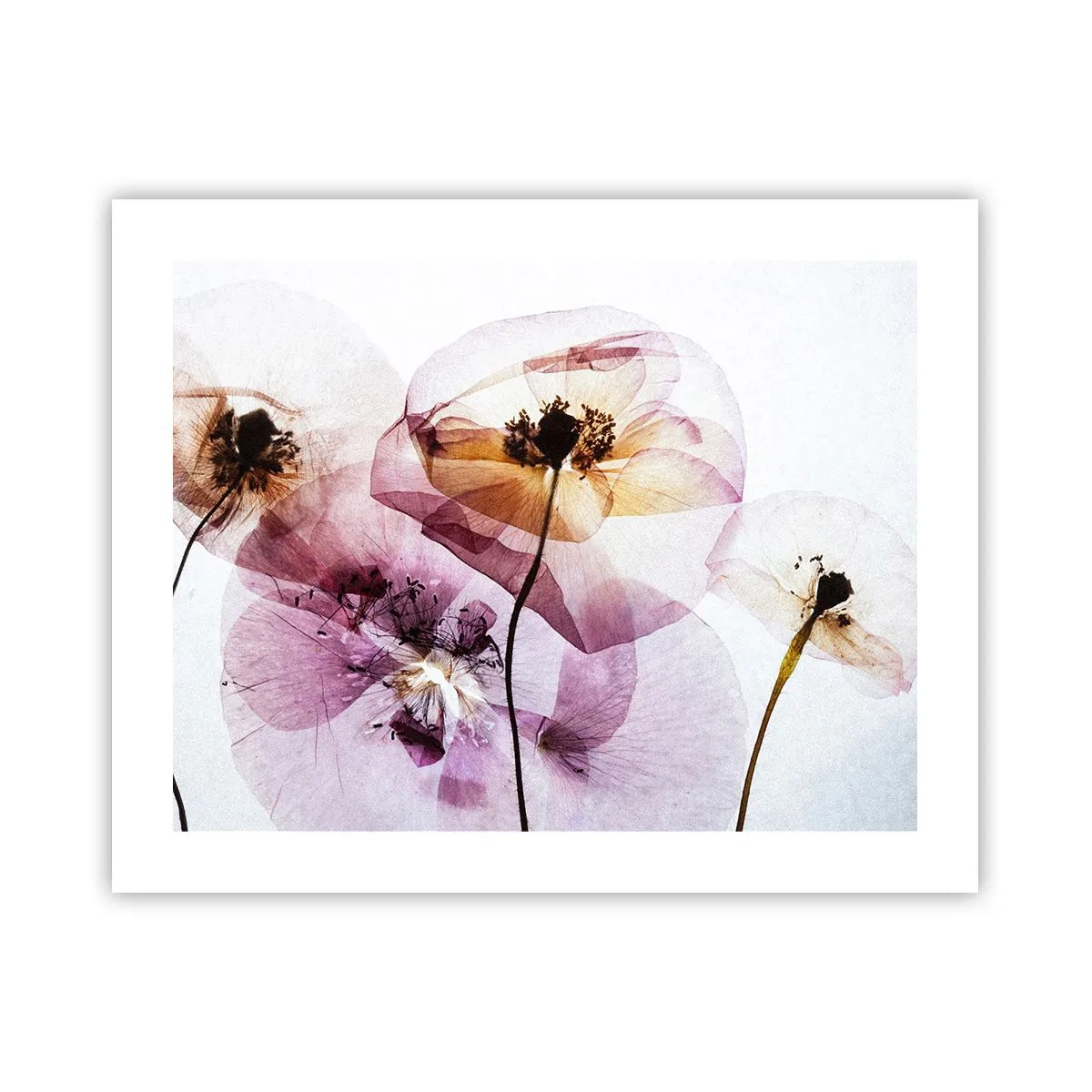 Poster - Flower Body Slide - 50x40 cm