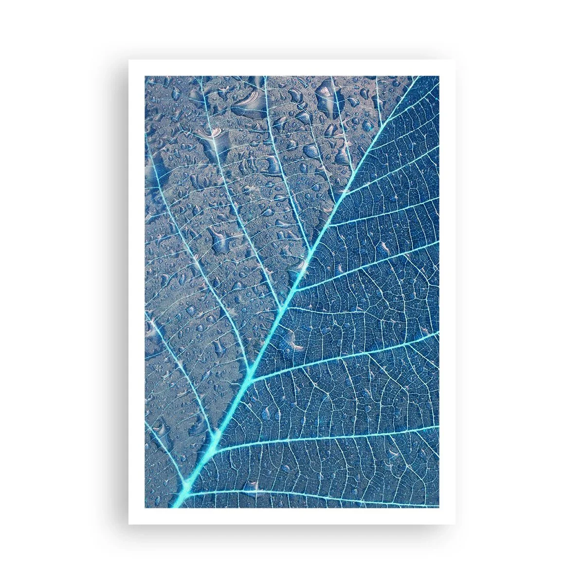 Poster - Life in the Blue - 70x100 cm