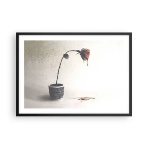 Poster in black frame - Rosa Dolorosa - 70x50 cm