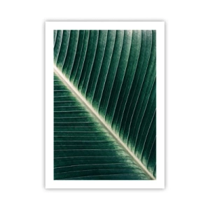 Poster - Rhythm of Nature - 50x70 cm